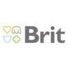 brit-100x100-1