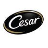 cesar_logo-100x100-1