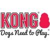 kong-100x100-1